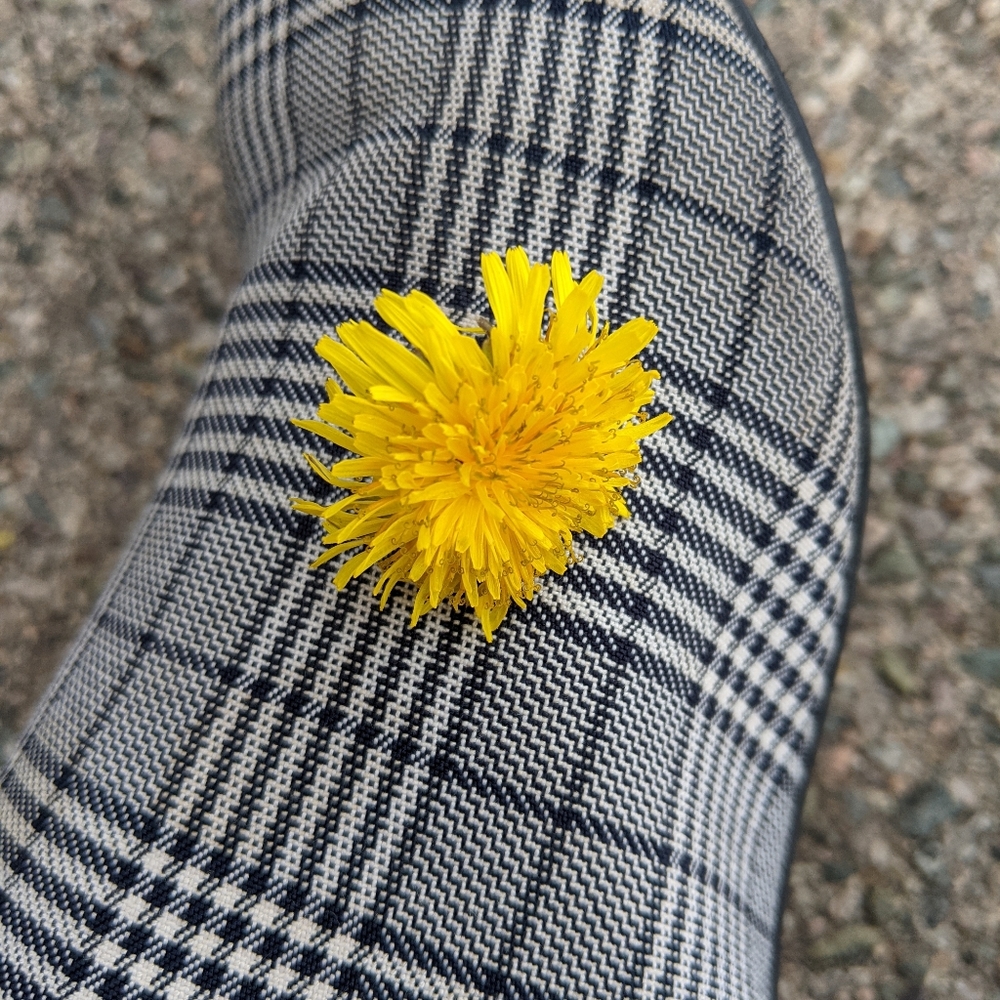 Meet your Posher, Mary